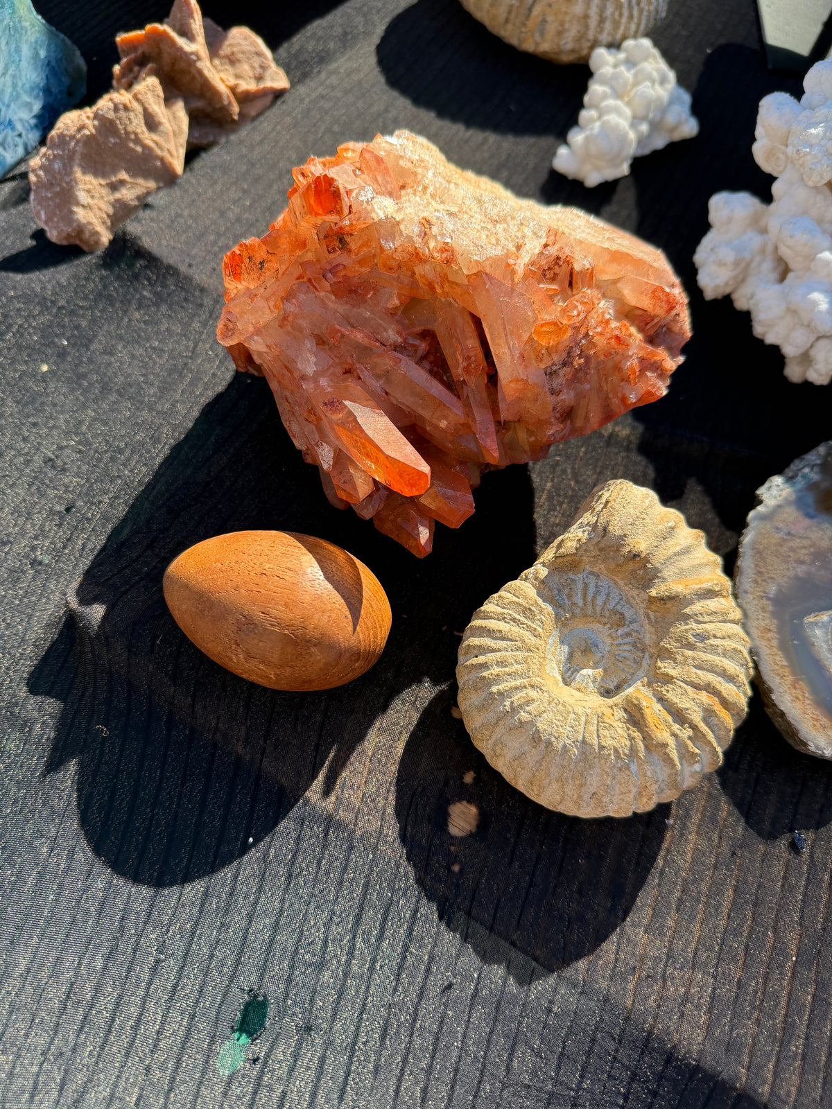 A collection of natural specimens including a prominent orange crystalline mineral cluster, a smooth brown polished stone, and a beige spiral ammonite shell, arranged on a dark textured surface.