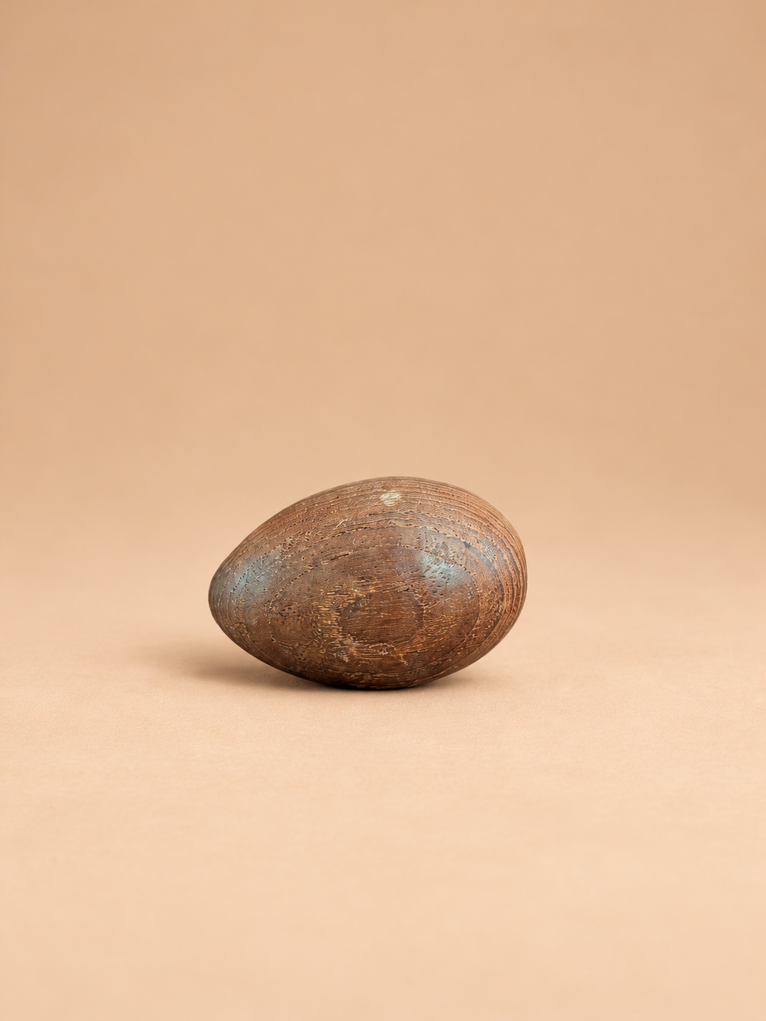 A small oval brown object with a textured, weathered surface and subtle blue-green patina on one side, photographed on a plain warm beige background.