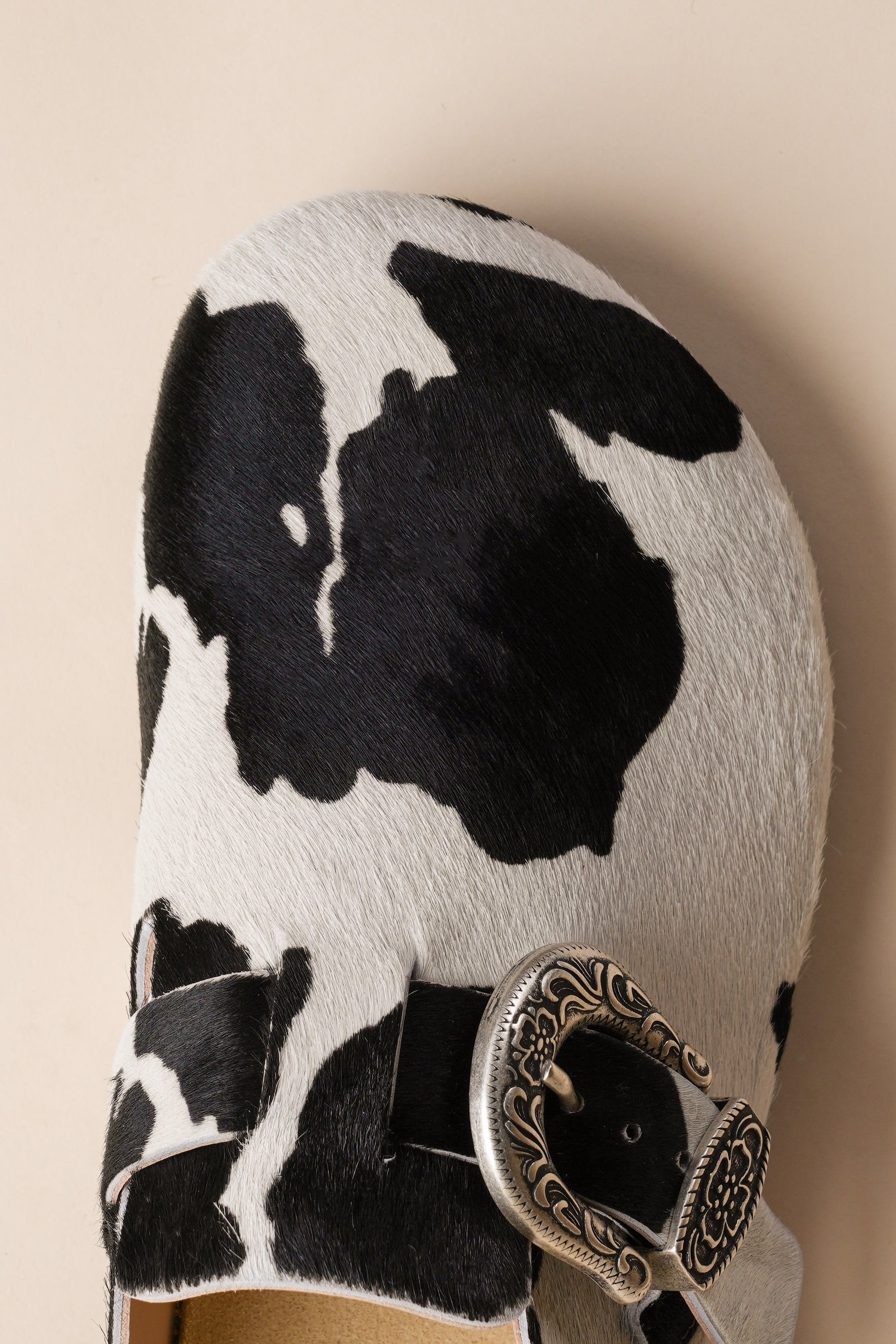 Women's Greg Shoe in Black Cow