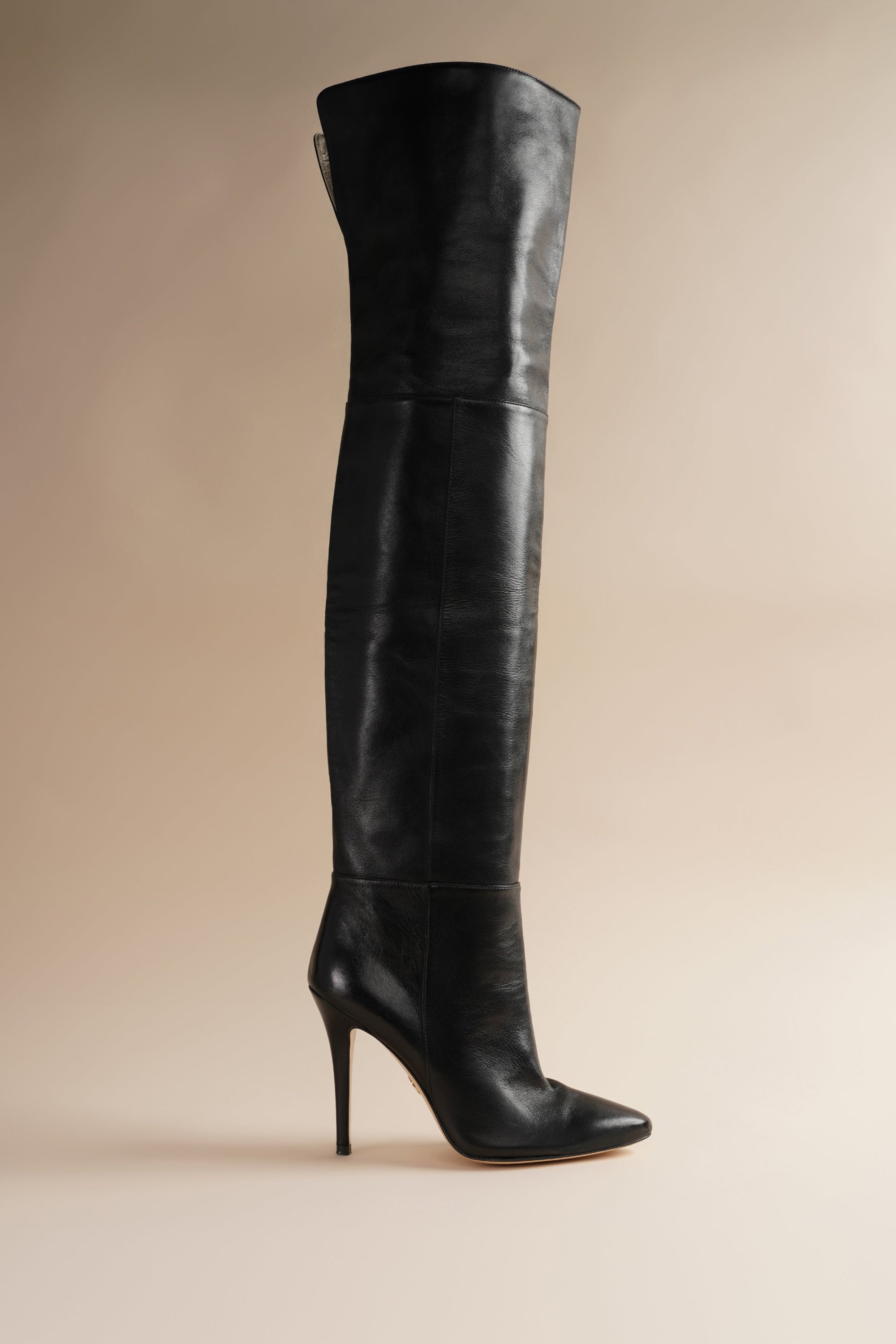 Over the knee black leather boot